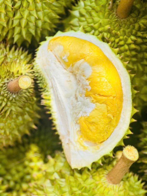 Sầu riêng Ri 6