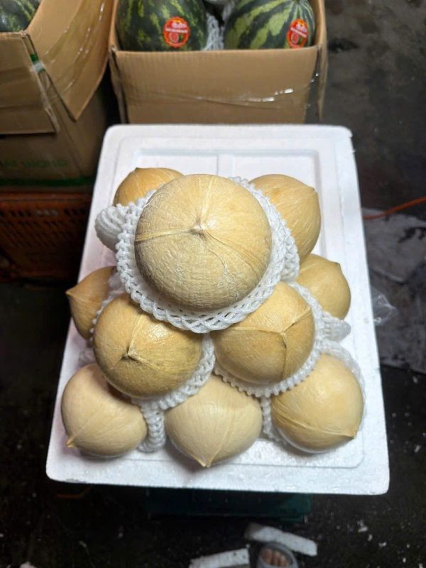Dừa trọc